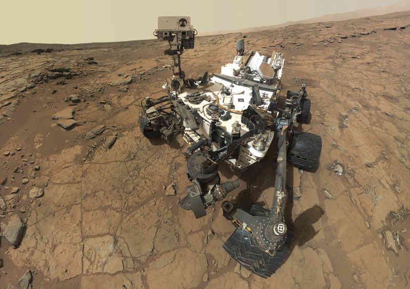 Curiosity Selfie